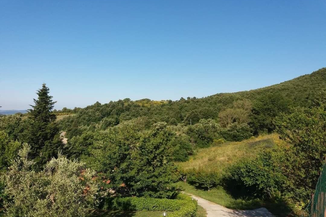 Photo of Outdoor in Elmo