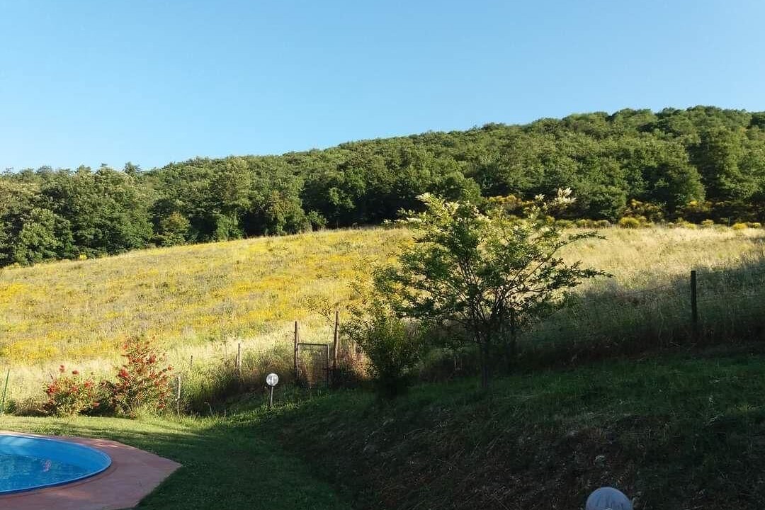 Photo of Outdoor in Elmo