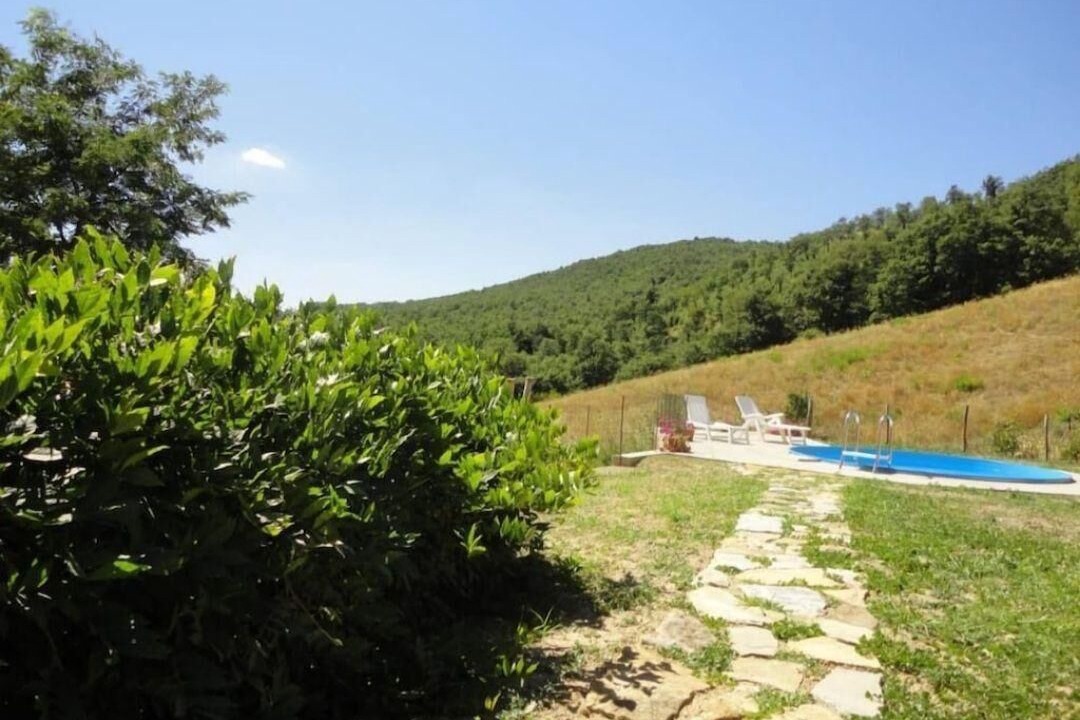 Photo of Outdoor in Elmo