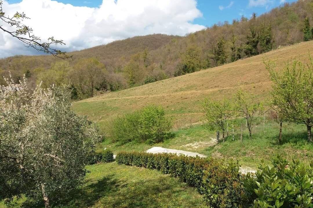Photo of Outdoor in Elmo
