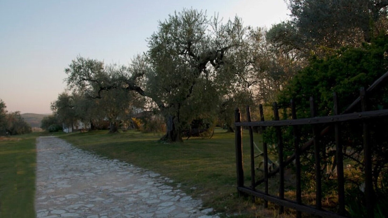 Photo of Outdoor in Montelibretti