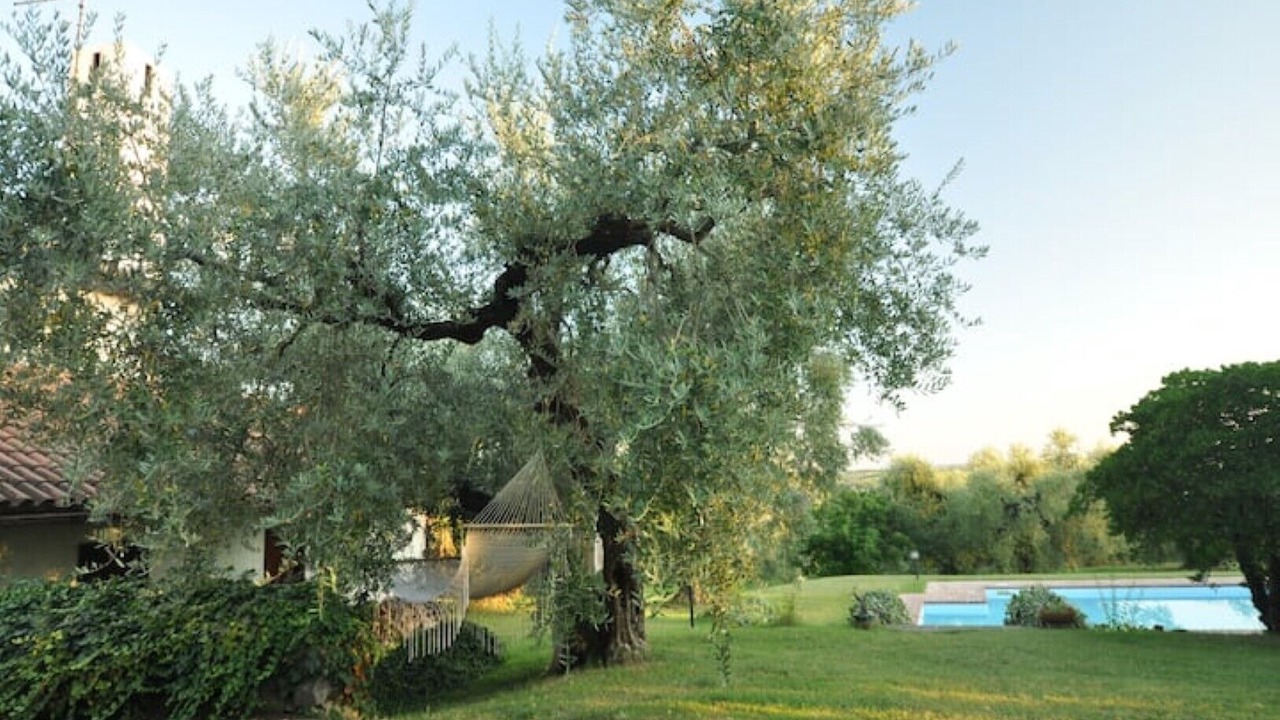 Photo of Outdoor in Montelibretti
