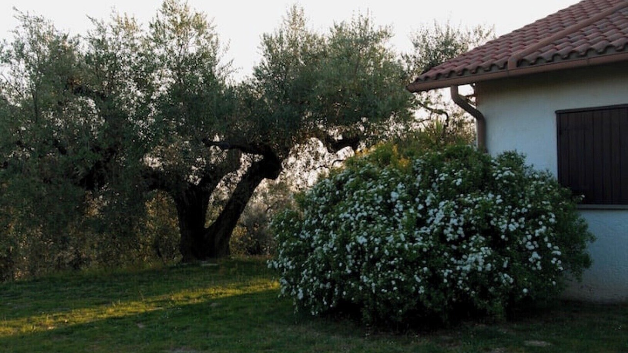 Photo of Outdoor in Montelibretti