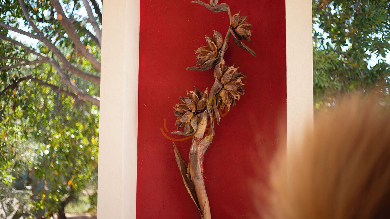 Photo of Outdoor in Fasano