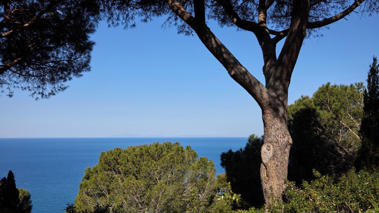 Photo of Others in Monte Argentario