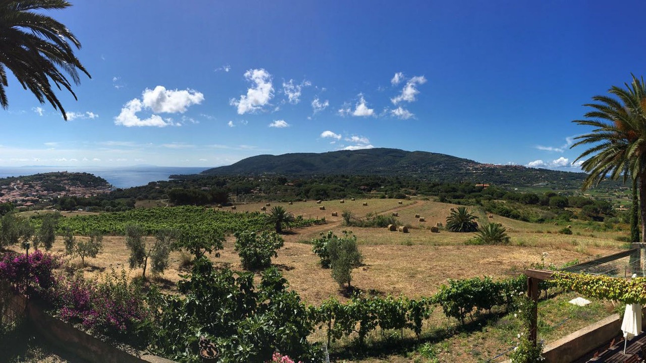 Photo of Outdoor in Porto Azzurro