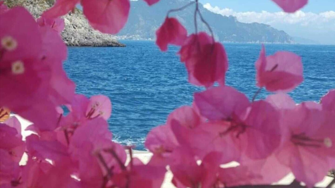 Photo of Others in Sant'Agnello