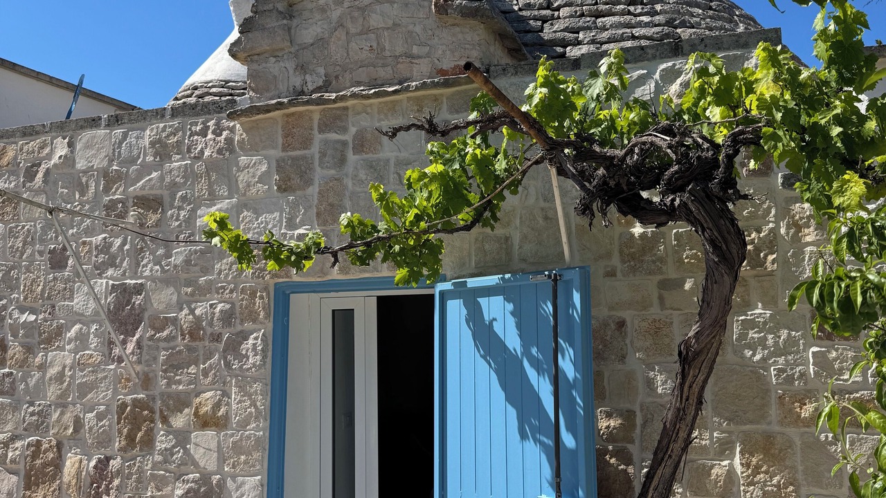 Photo of Outdoor in Ostuni