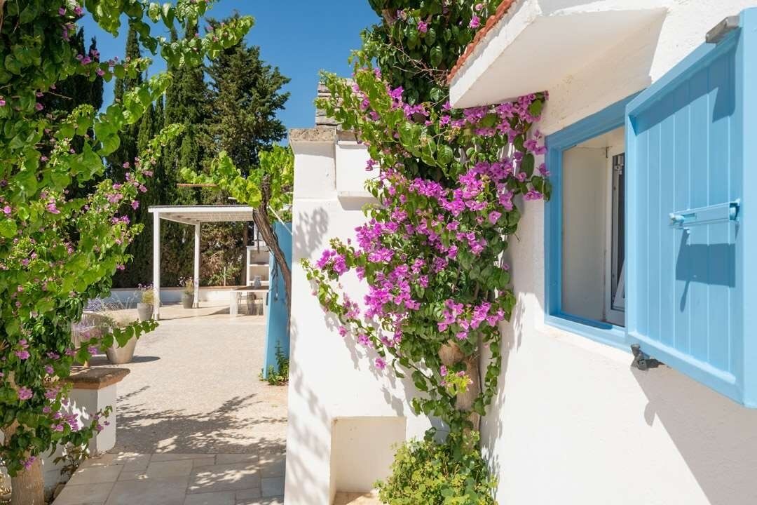 Photo of Outdoor in Ostuni