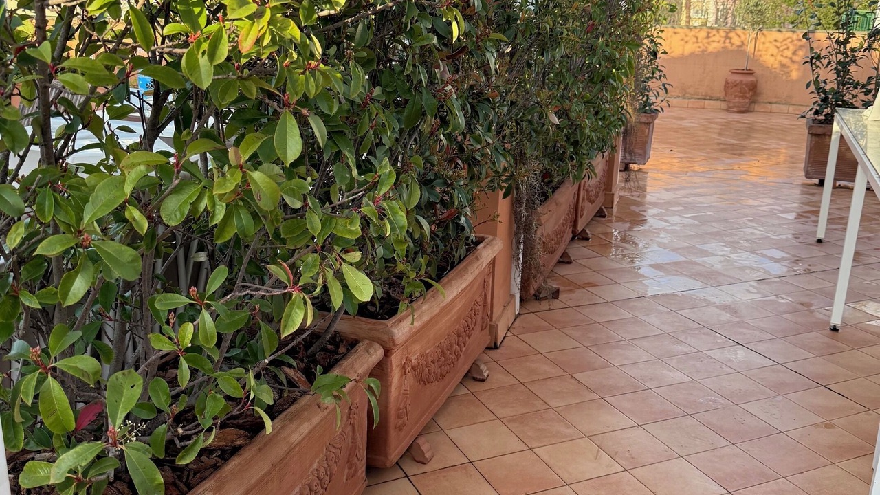 Photo of Others in Sant'Agnello