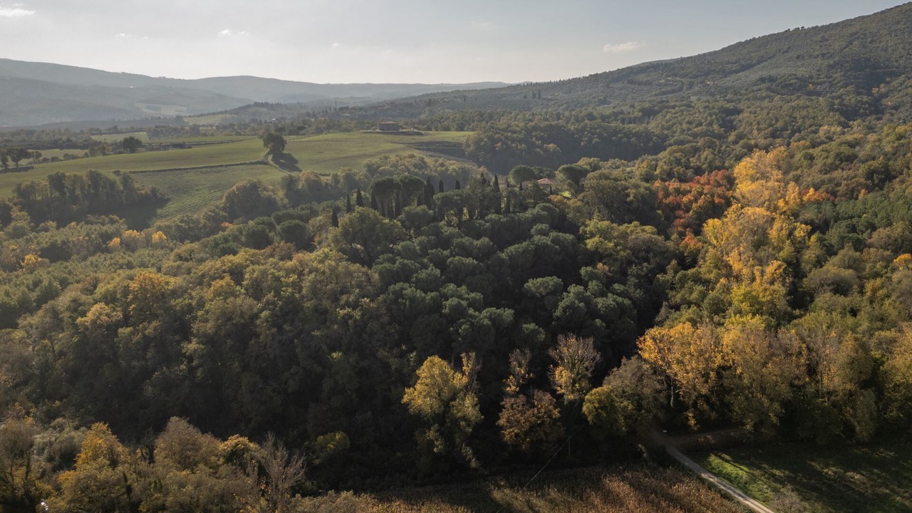 Photo of Others in Panicale
