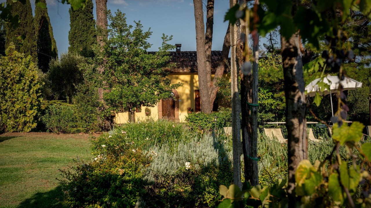 Photo of Outdoor in Panicale
