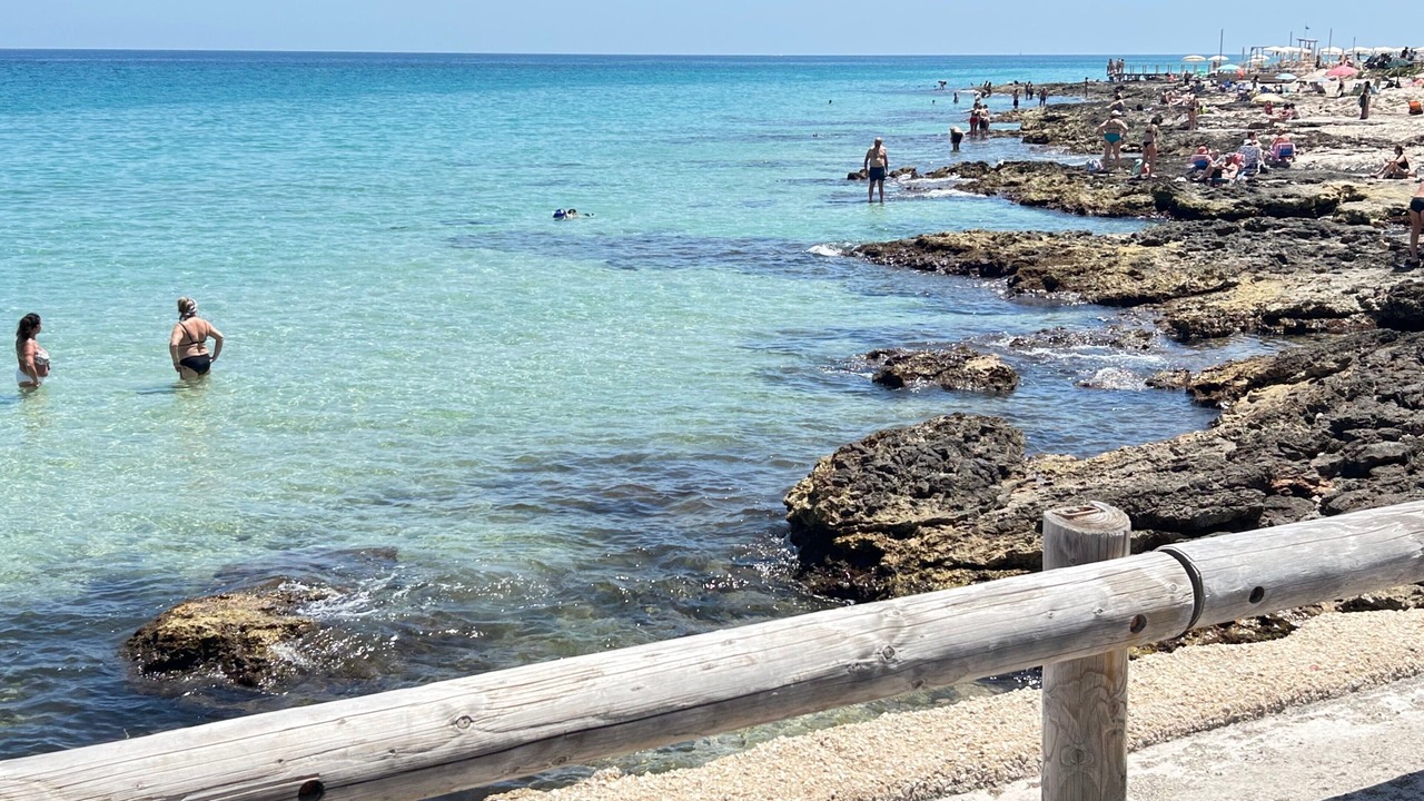 Photo of Others in Cozze