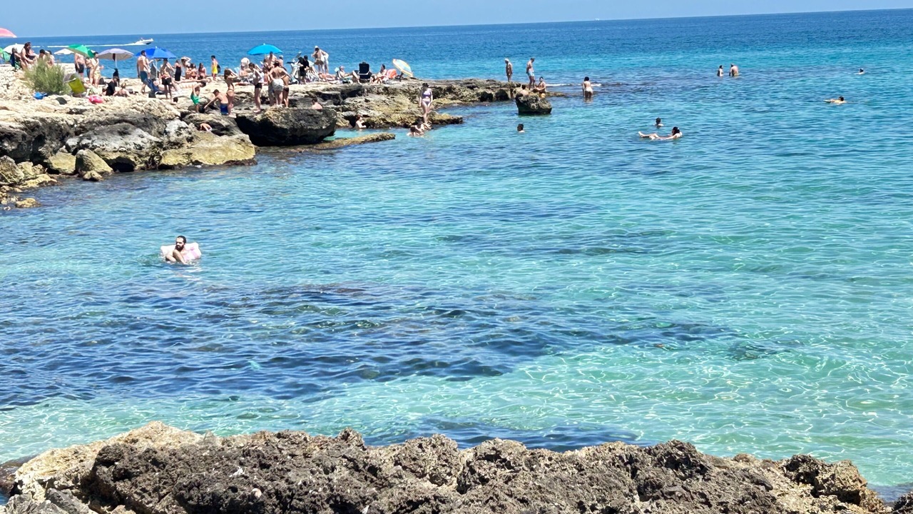Photo of Others in Cozze