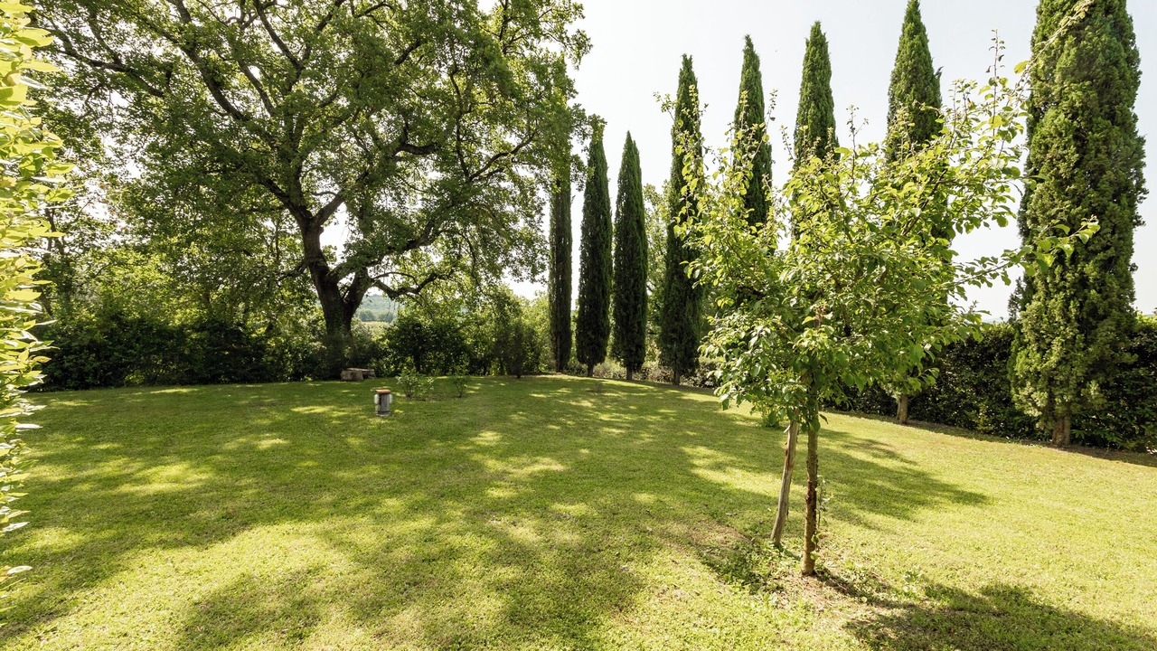 Photo of Outdoor in Monteleone d'Orvieto