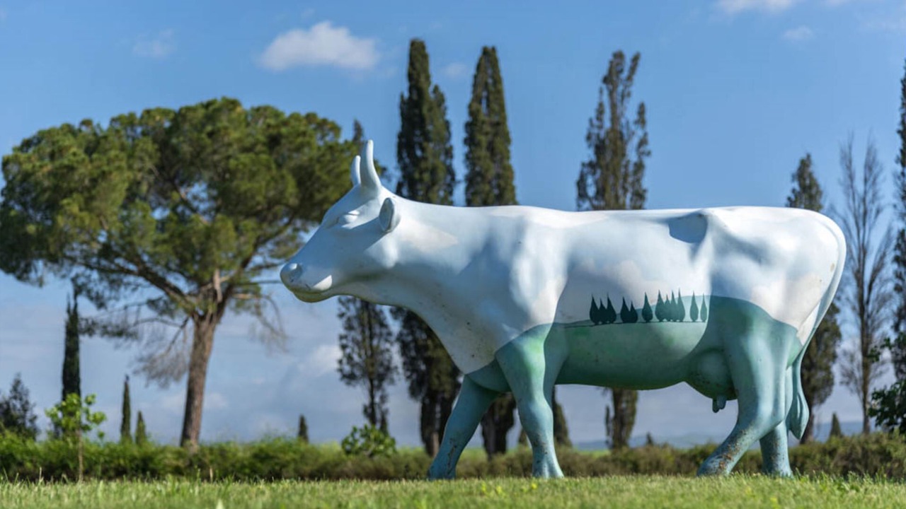 Photo of Outdoor in Gavorrano