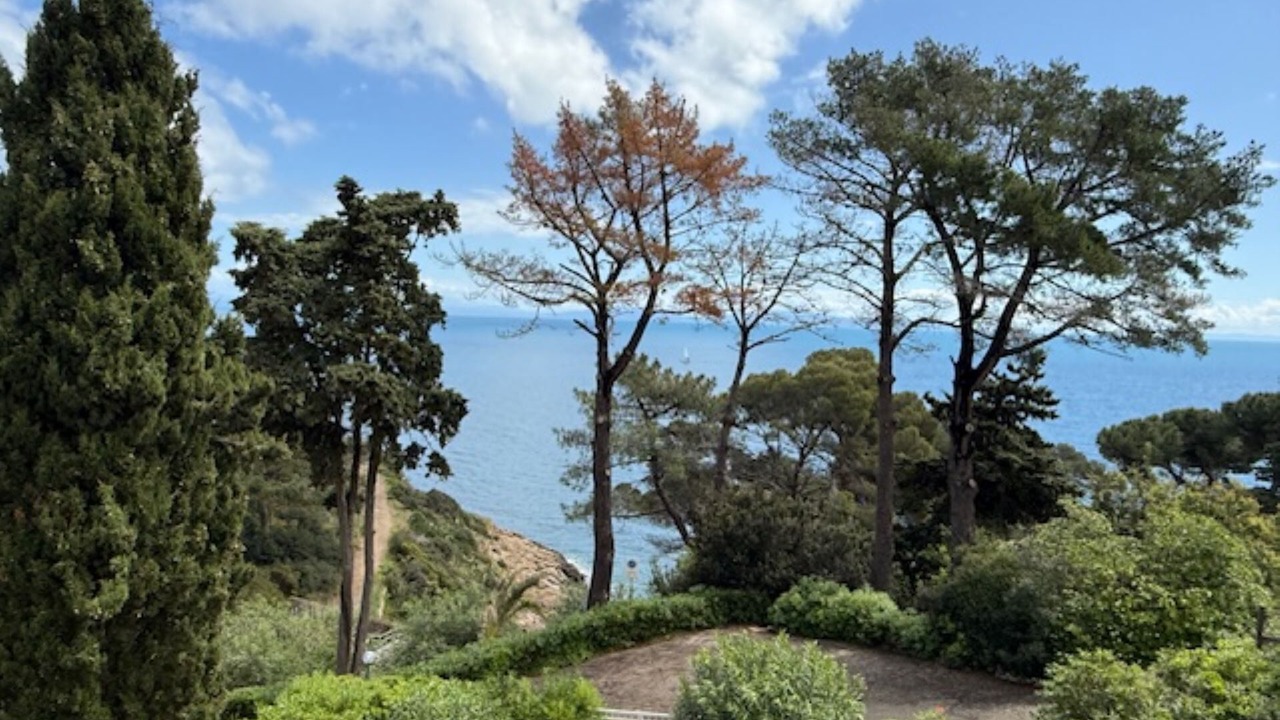 Photo of Others in Capo D'arco