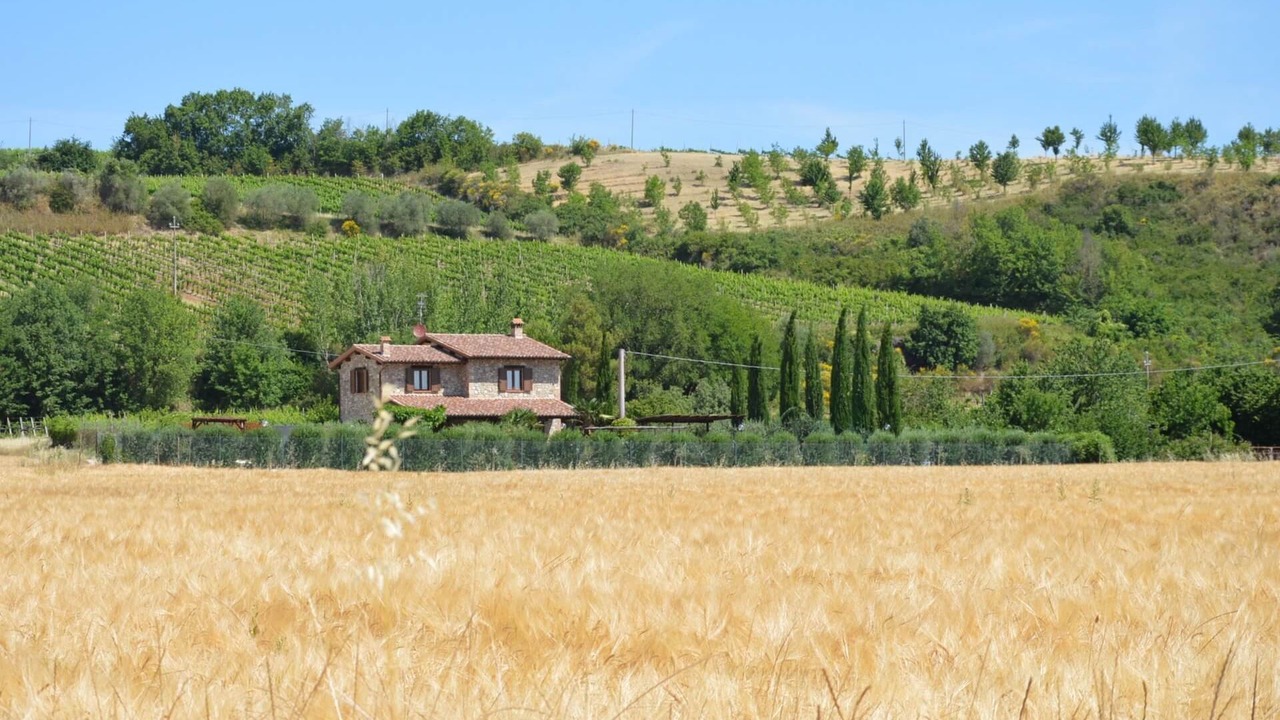 Photo of Others in Marsciano