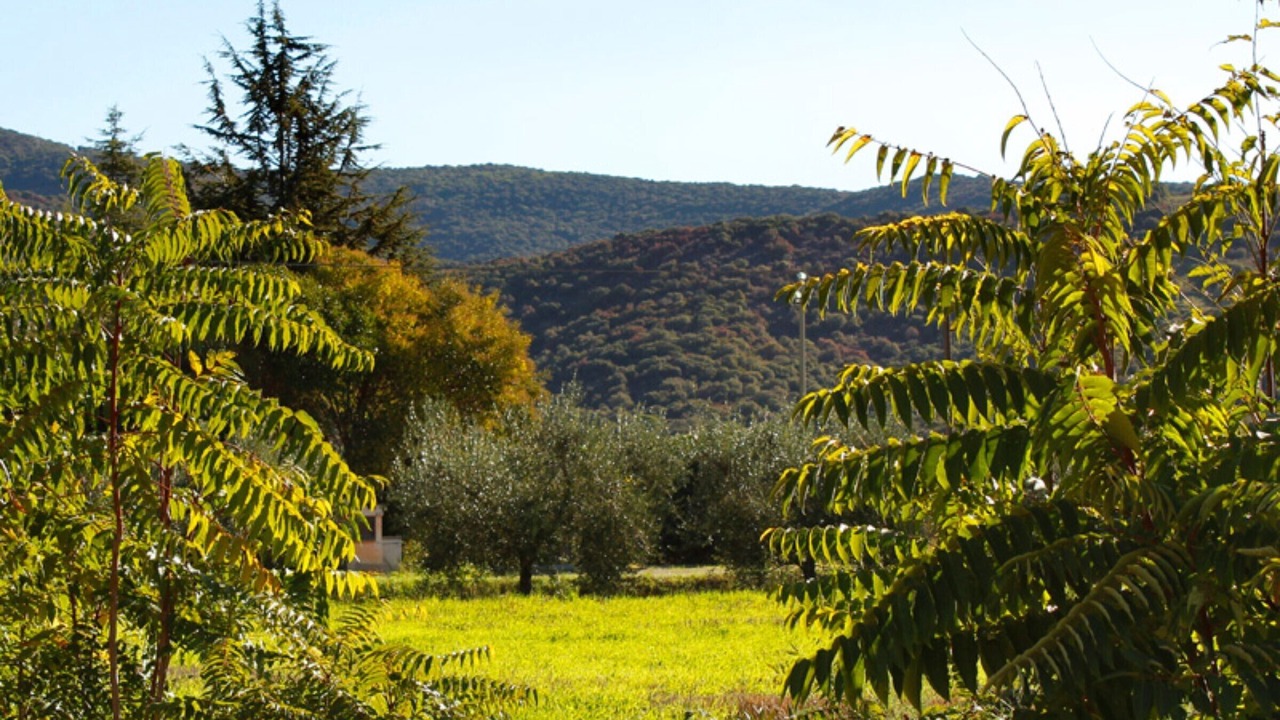 Photo of Others in Pian di Rocca