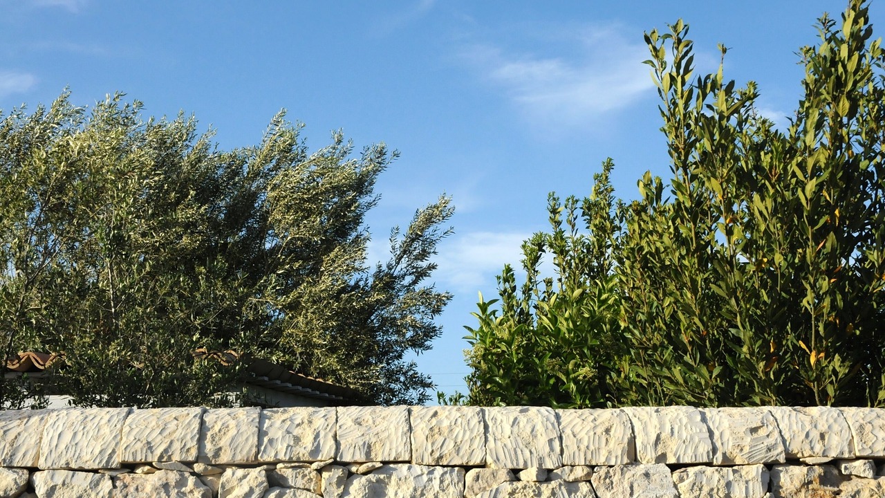 Photo of Outdoor in Noto