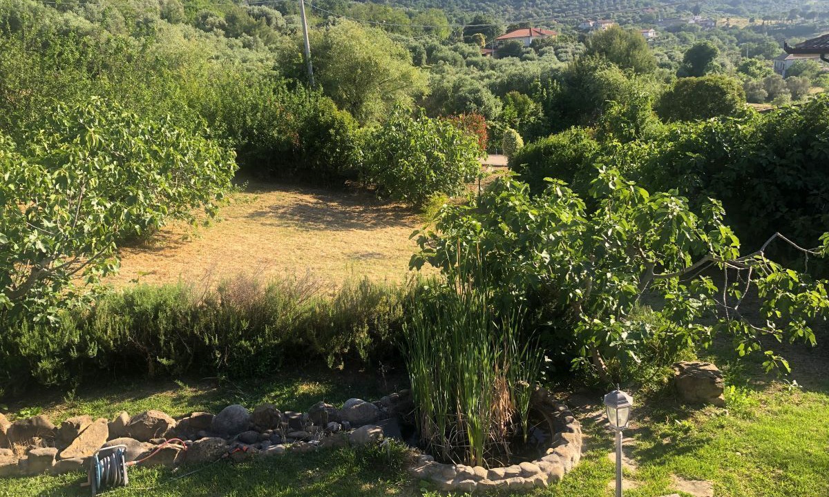 Photo of Outdoor in Castellabate