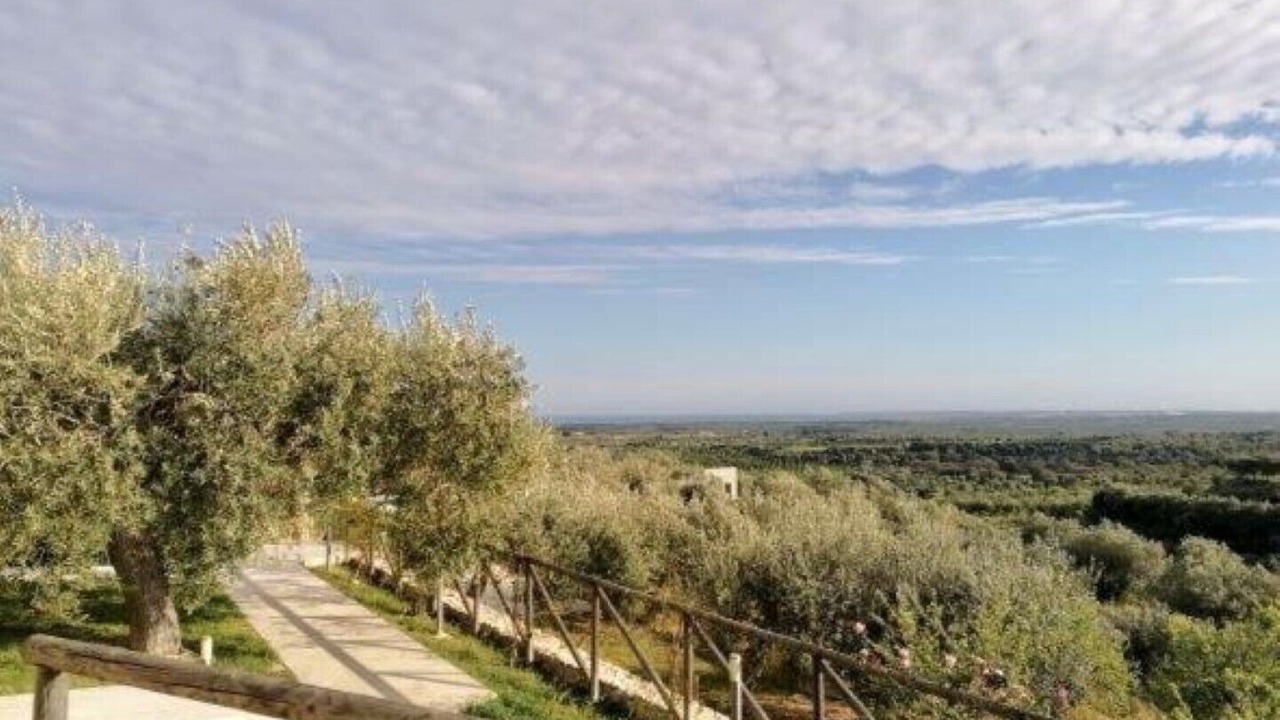 Photo of Outdoor in Noto