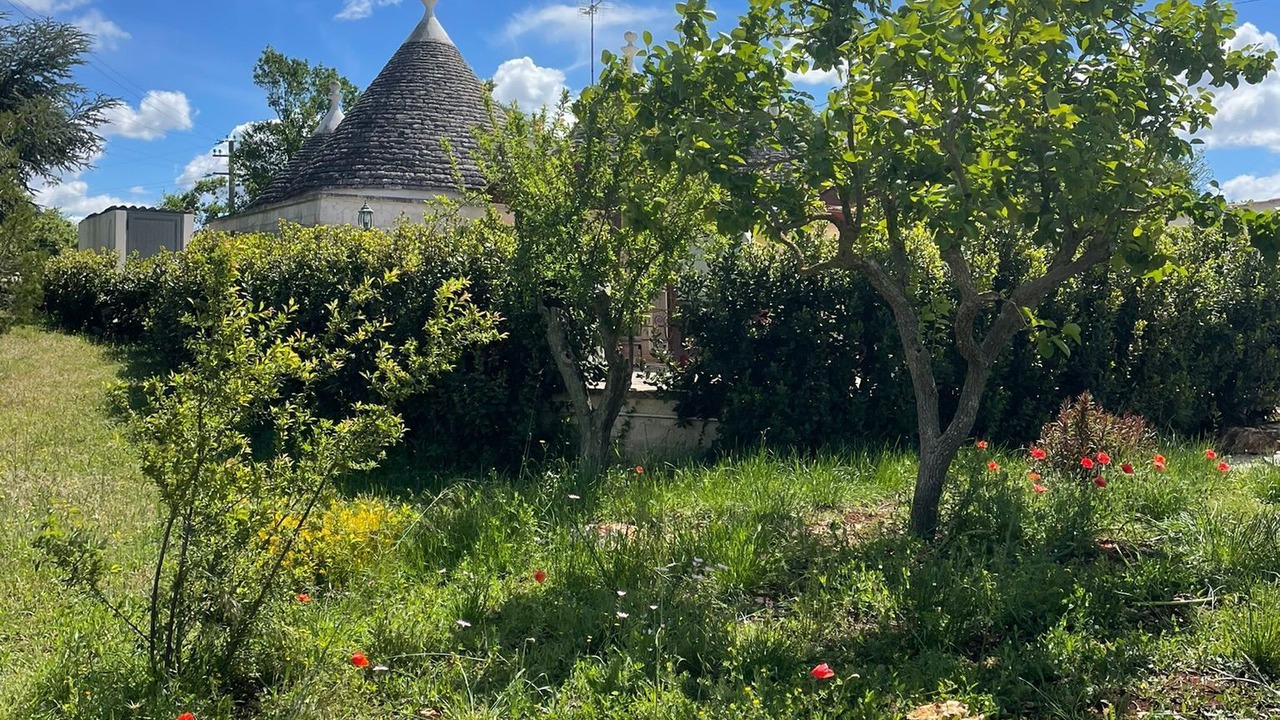 Photo of Outdoor in Martina Franca
