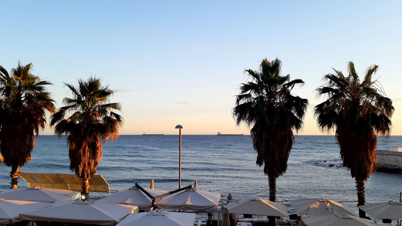 Photo of Others in Civitavecchia