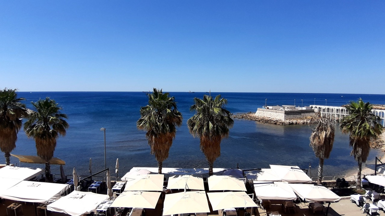 Photo of Others in Civitavecchia