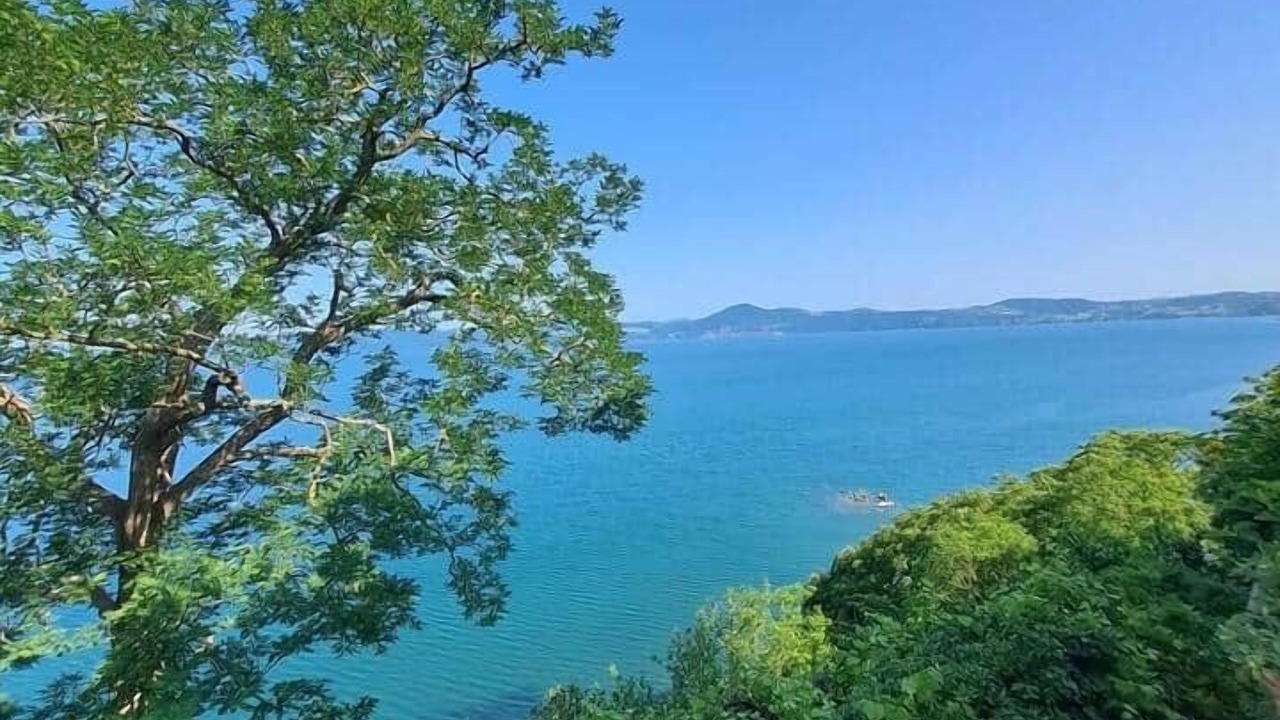 Photo of Others in Lake Bracciano