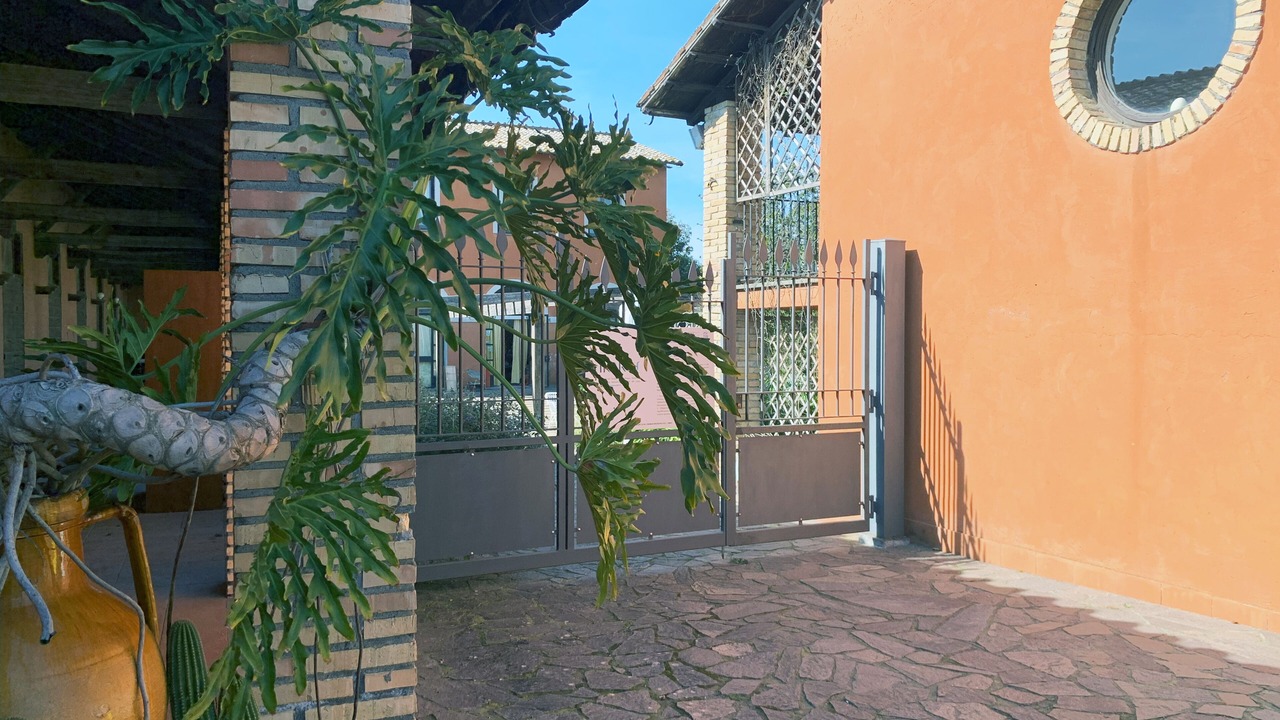 Photo of Outdoor in Lake Bracciano