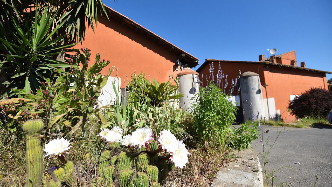 Photo of Outdoor in Lake Bracciano