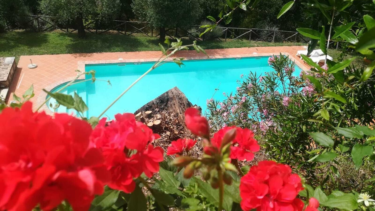 Photo of Outdoor in Amelia
