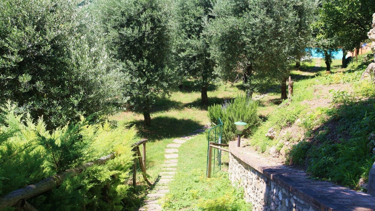 Photo of Outdoor in Amelia