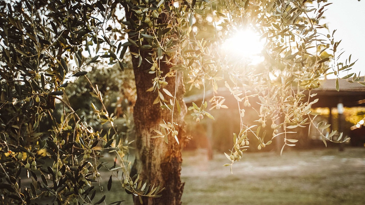 Photo of Outdoor in Amelia