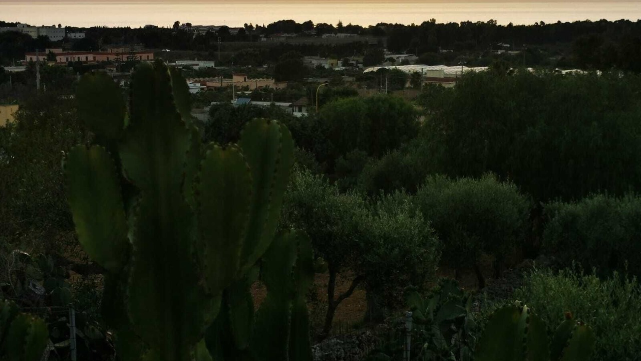 Photo of Outdoor in Il Monte
