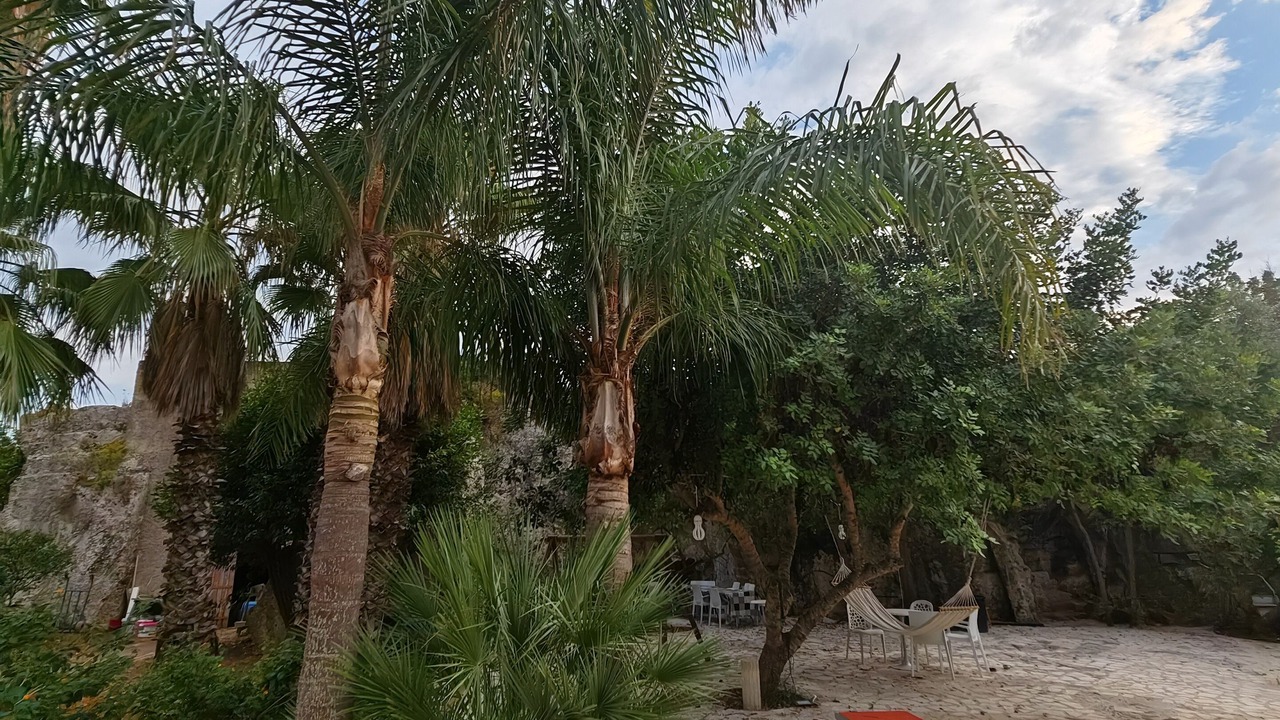 Photo of Patio Balcony in Il Monte
