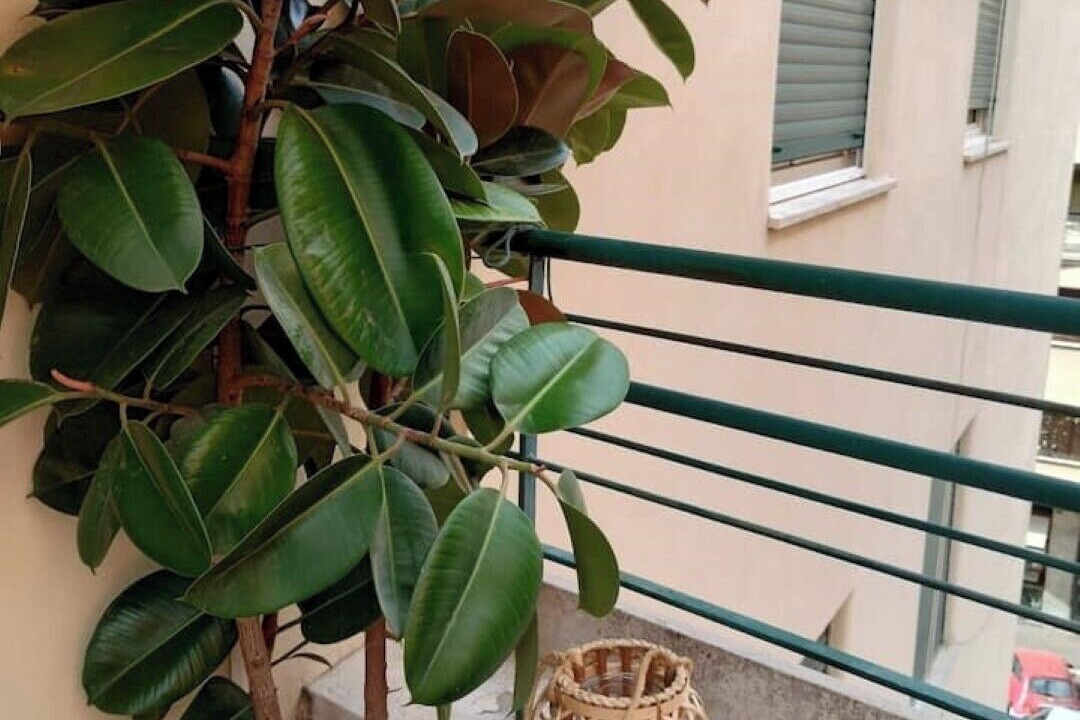 Photo of Outdoor in Quartiere XVII Trieste