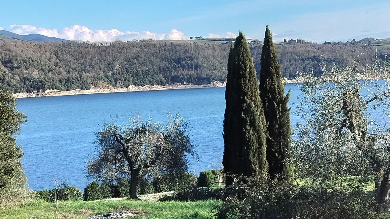 Photo of Outdoor in Corbara