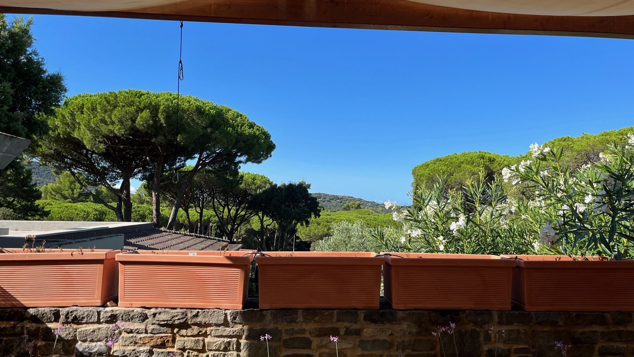 Photo of Outdoor in Punta Ala