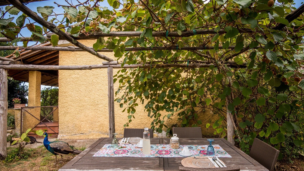 Photo of Outdoor in Montieri