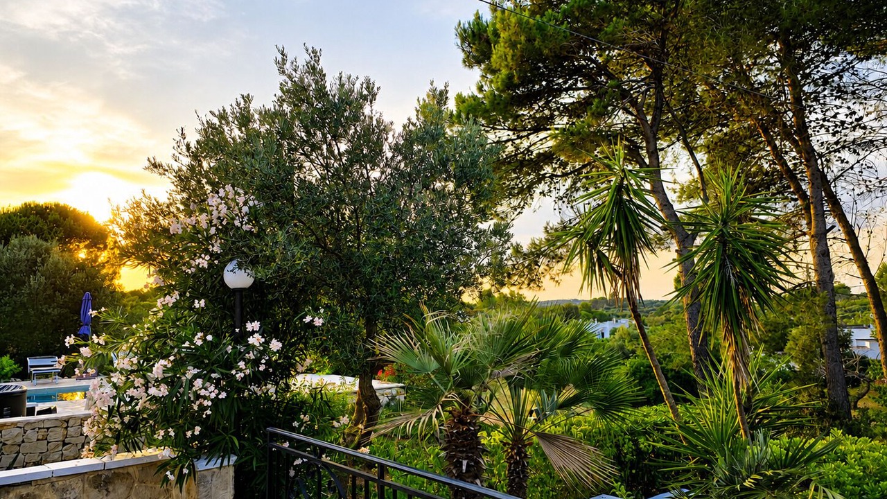 Photo of Outdoor in Ostuni