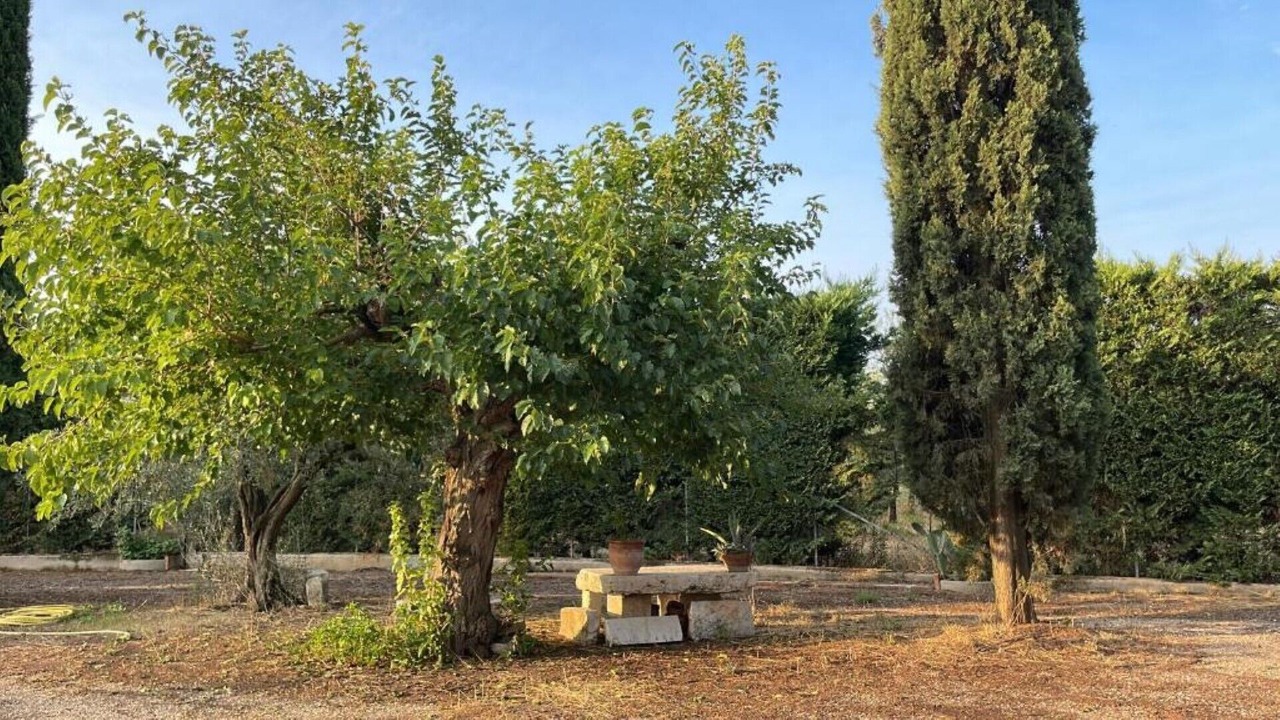 Photo of Outdoor in Cerignola
