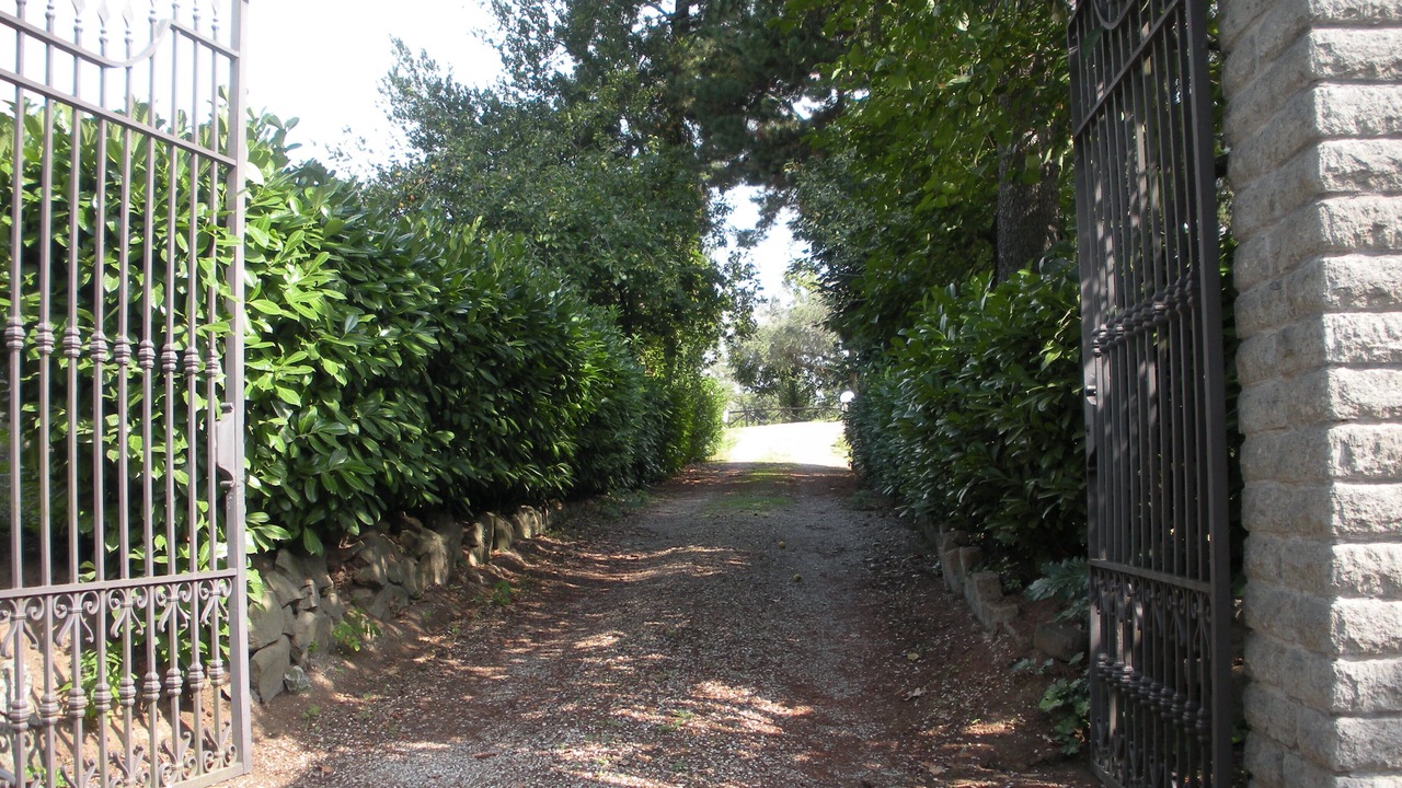 Photo of Outdoor in Marta