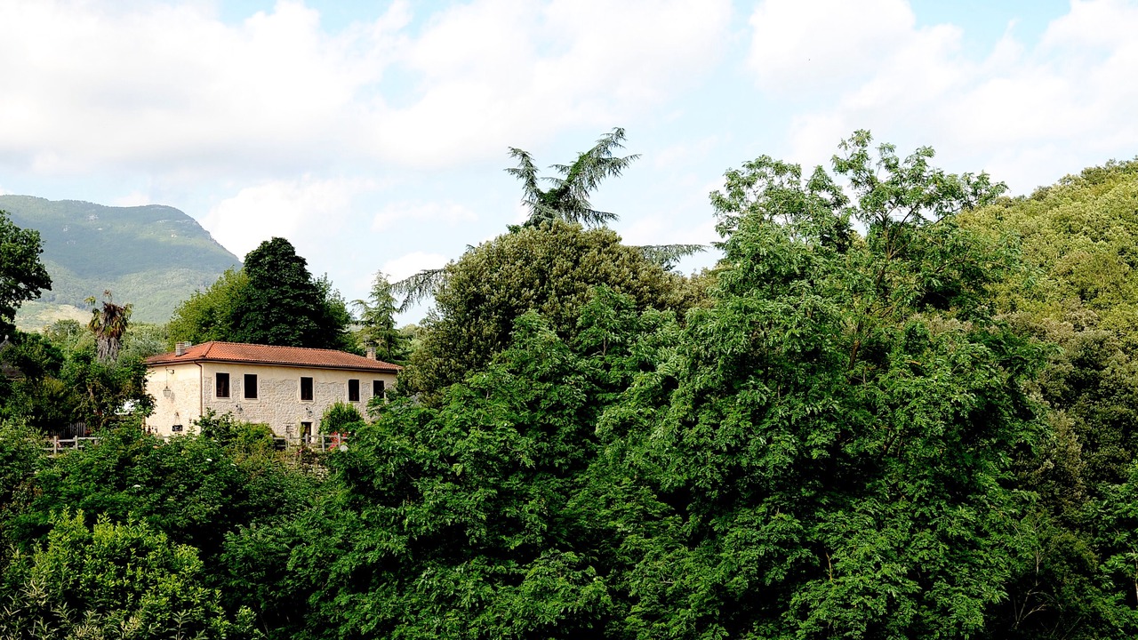 Photo of Others in Sezze