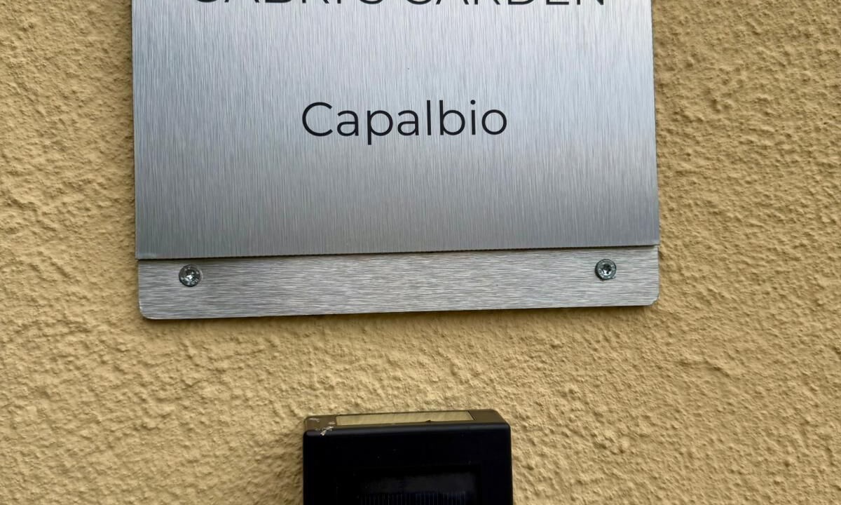 Photo of Others in Capalbio