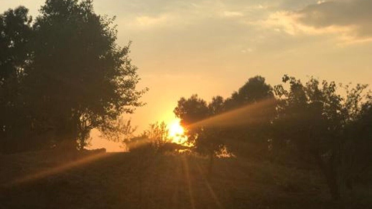 Photo of Outdoor in Zona XXI Torricola