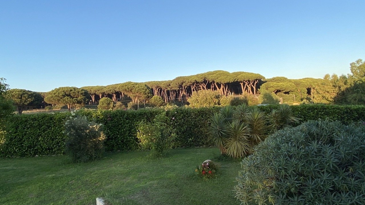 Photo of Outdoor in Anzio