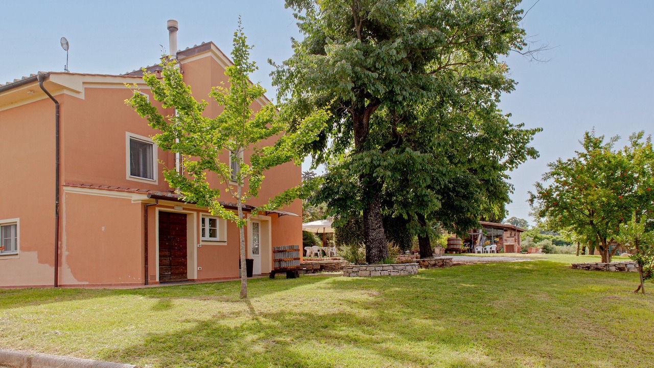 Photo of Outdoor in Fauglia