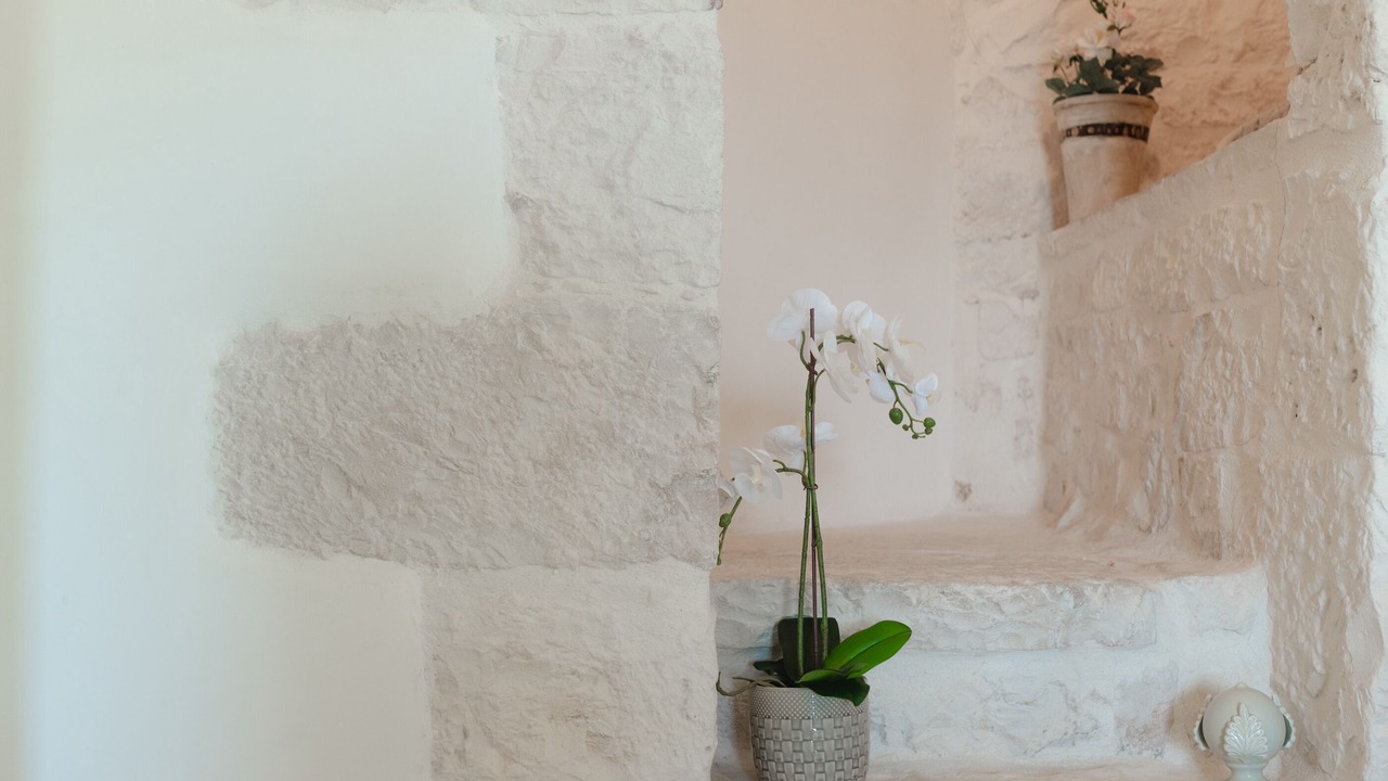 Photo of Others in Old Town Cisternino